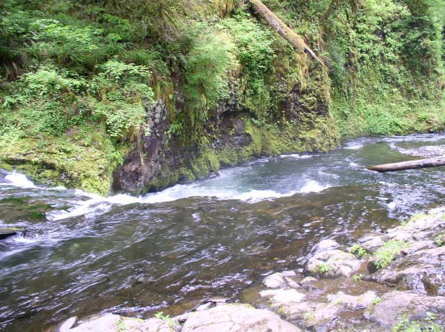 6.03.06 Eagle Creek 032 